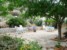 GARDEN IN THE BACK OF THE HOUSE